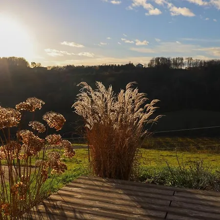 בית נופש Vulkanland Stoeckel -