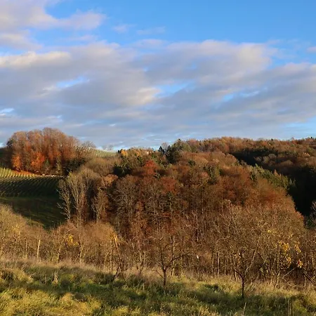 Vulkanland Stoeckel - بيت للعطل *