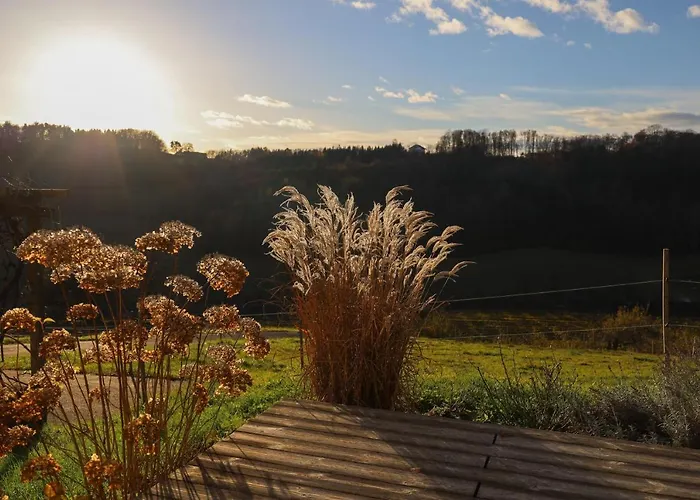Semesterbostad Vulkanland Stoeckel -