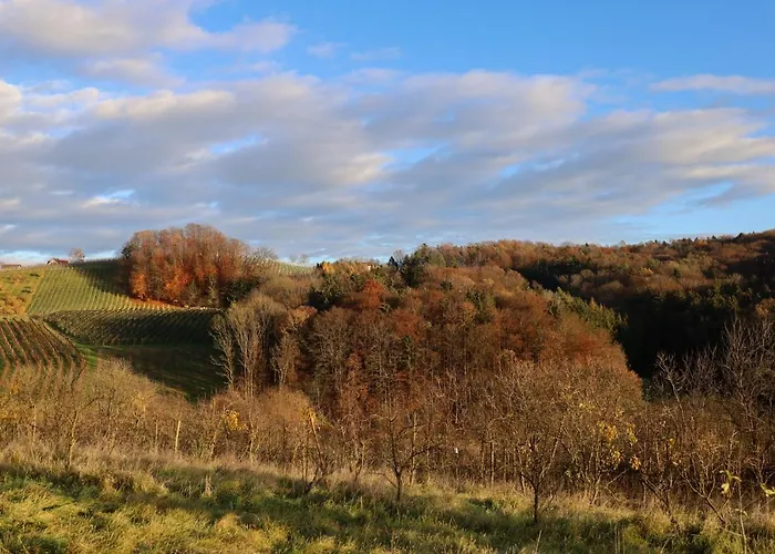 Vulkanland Stoeckel - بيت للعطل *